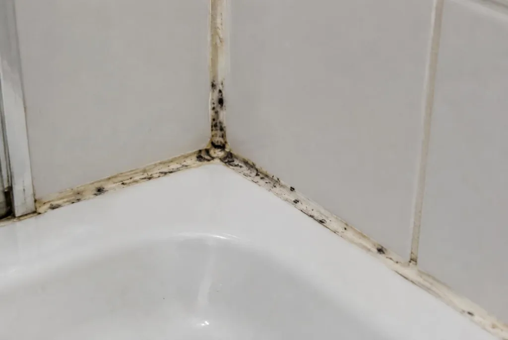 Kitbedrijf Geldermalsen – beschimmelde kitranden